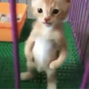 Meet your Posher, Nixon